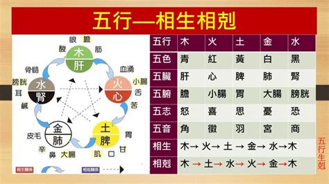 相剋意思|《中醫詞典》解釋「相剋」的意思